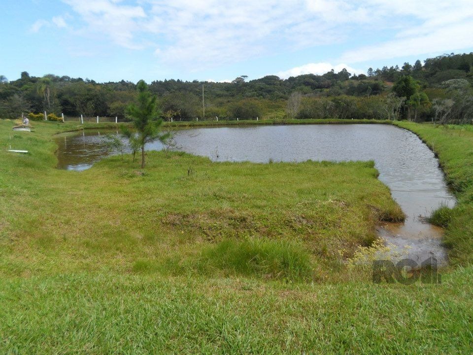 Sítio à venda com 3 quartos, 100m² - Foto 16