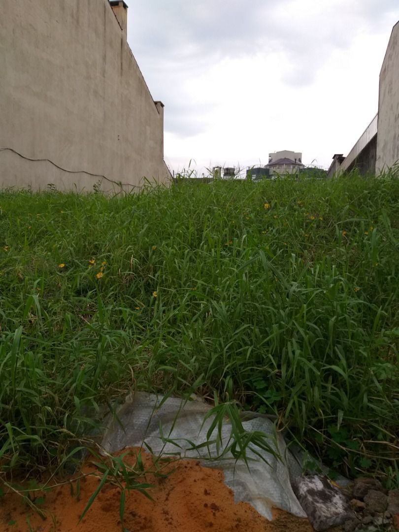 Terreno, 484 m² - Foto 3