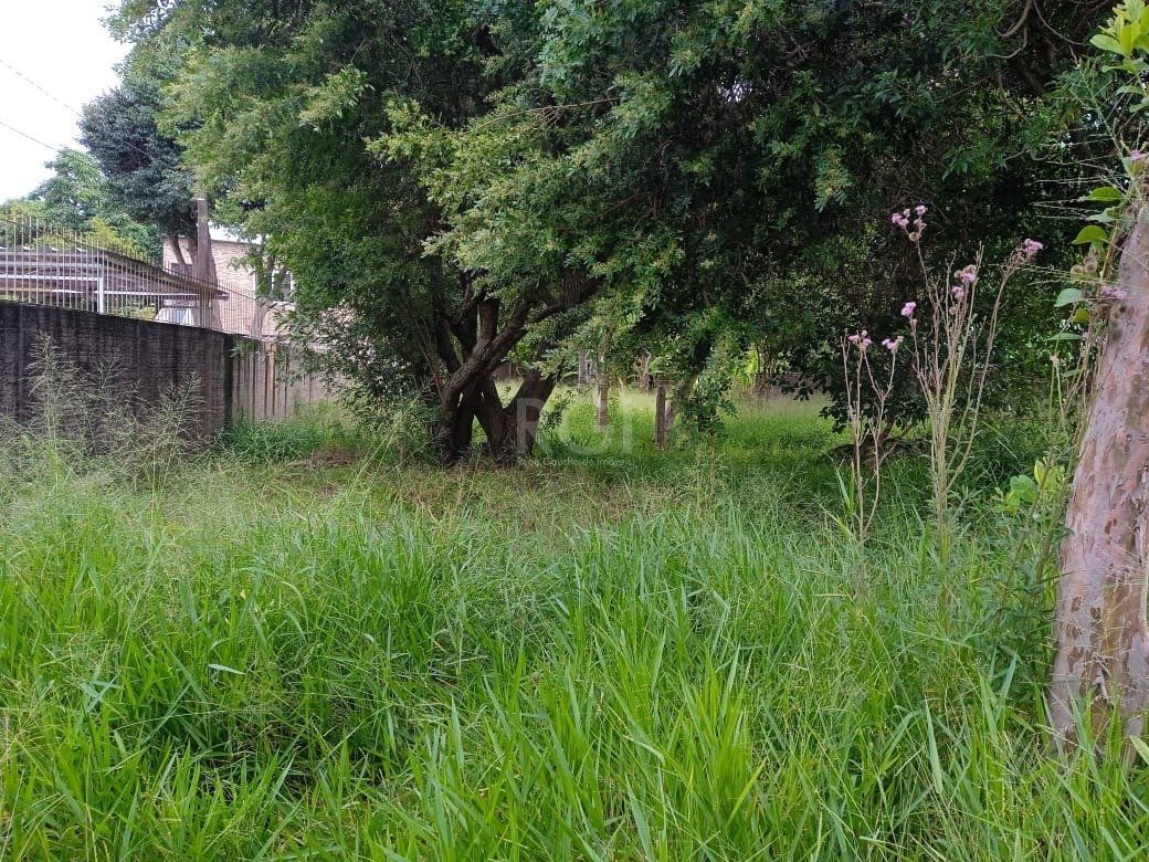 Terreno, 368 m² - Foto 1