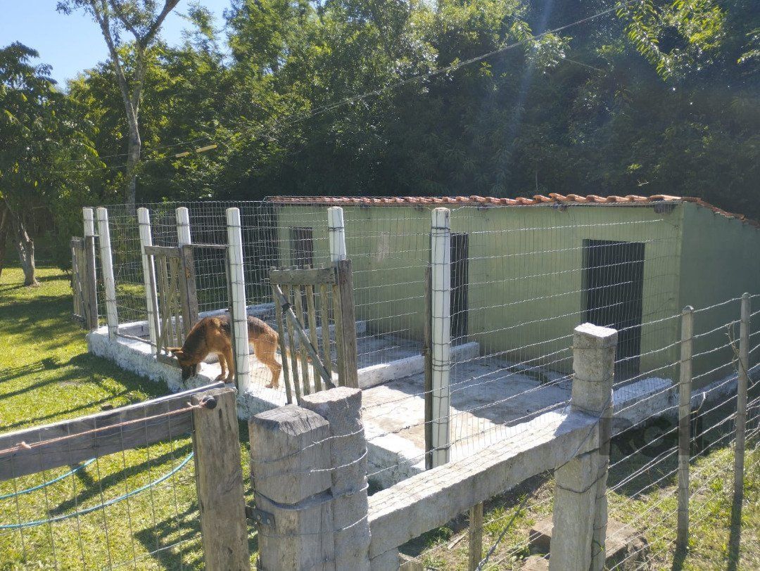 Chácara, 4 quartos, 10000 m² - Foto 15