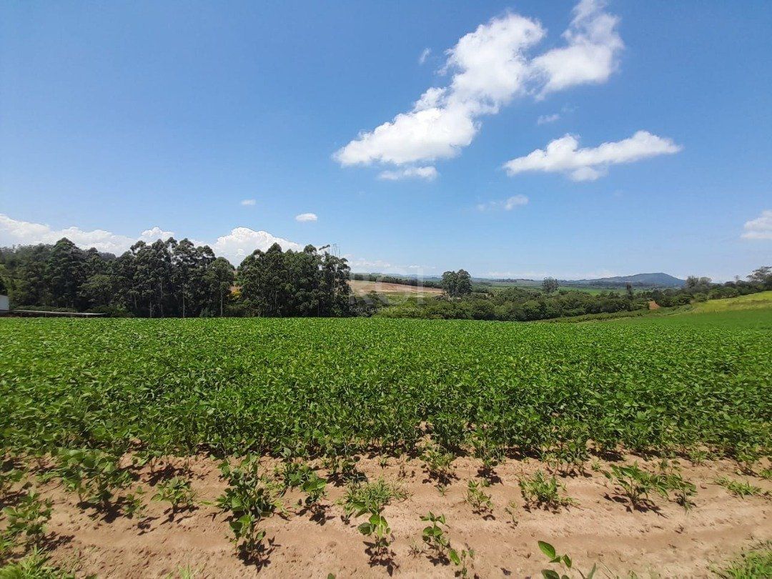 Terreno, 15 hectares - Foto 52