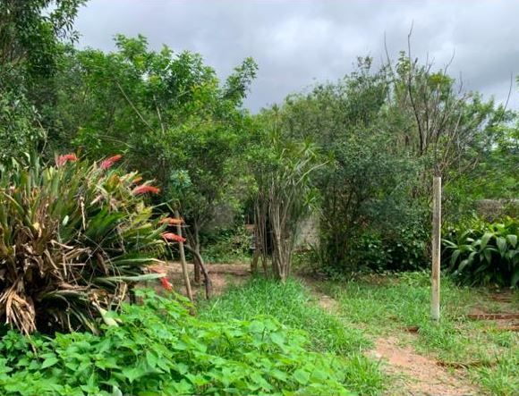Casa 3 quartos à venda, 265m², Vila Nova - Porto Alegre