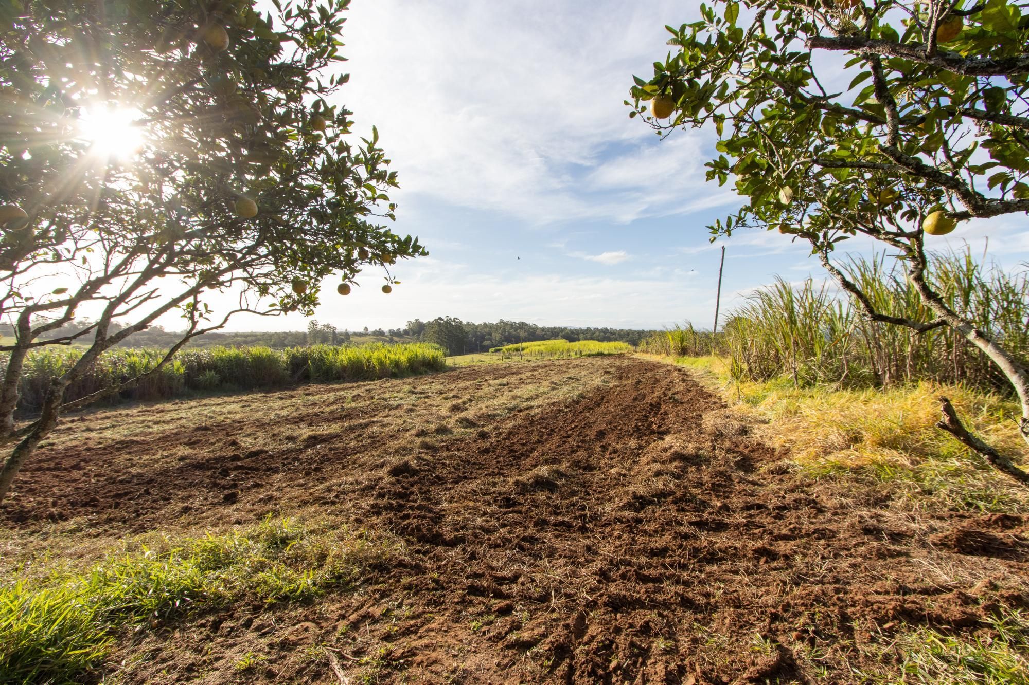 Sítio, 3 quartos, 8 hectares - Foto 50