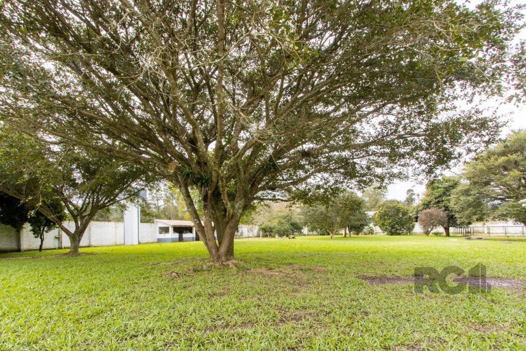 Sítio à venda com 3 quartos, 350m² - Foto 12
