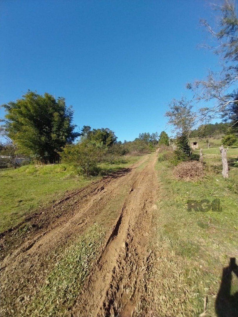 Terreno à venda, 5001m² - Foto 1