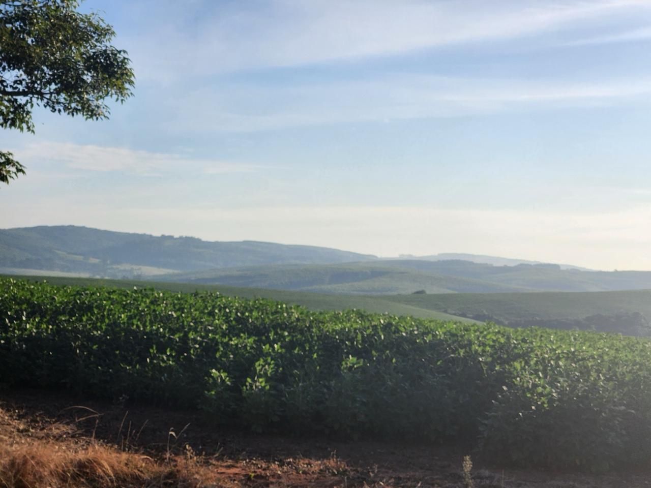 Fazenda à venda com 3 quartos, 250m² - Foto 2