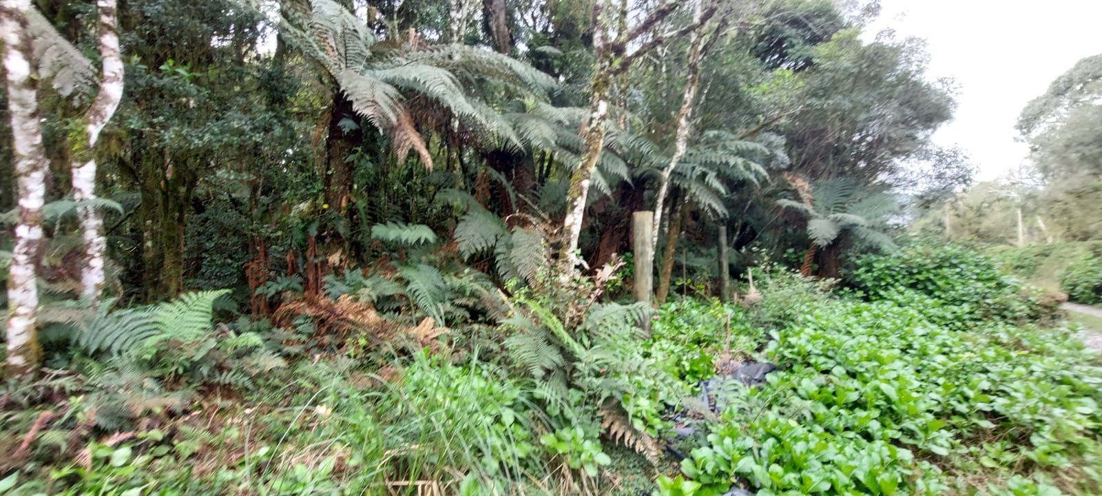 Terreno à venda, 599m² - Foto 6