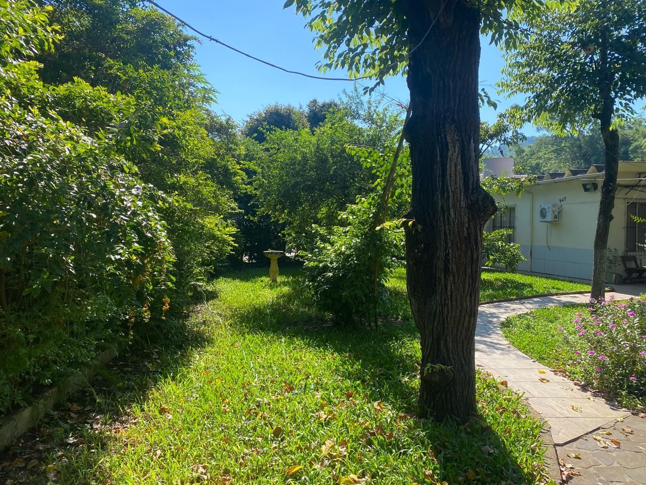 Casa, 3 quartos, 243 m² - Foto 24