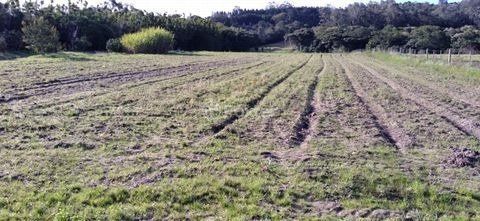 Terreno, 4743 hectares - Foto 6