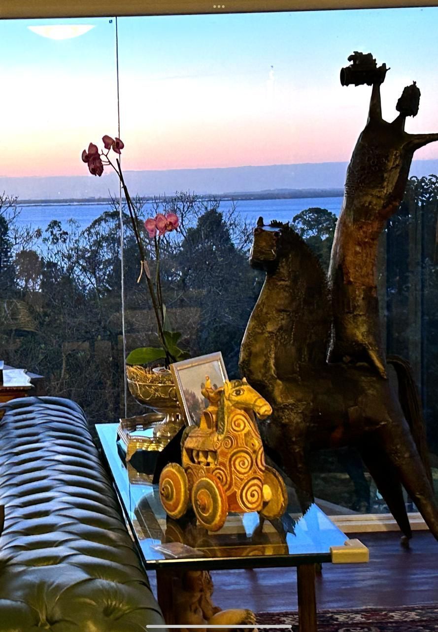 Casa, 4 quartos, 500 m² - Foto 18