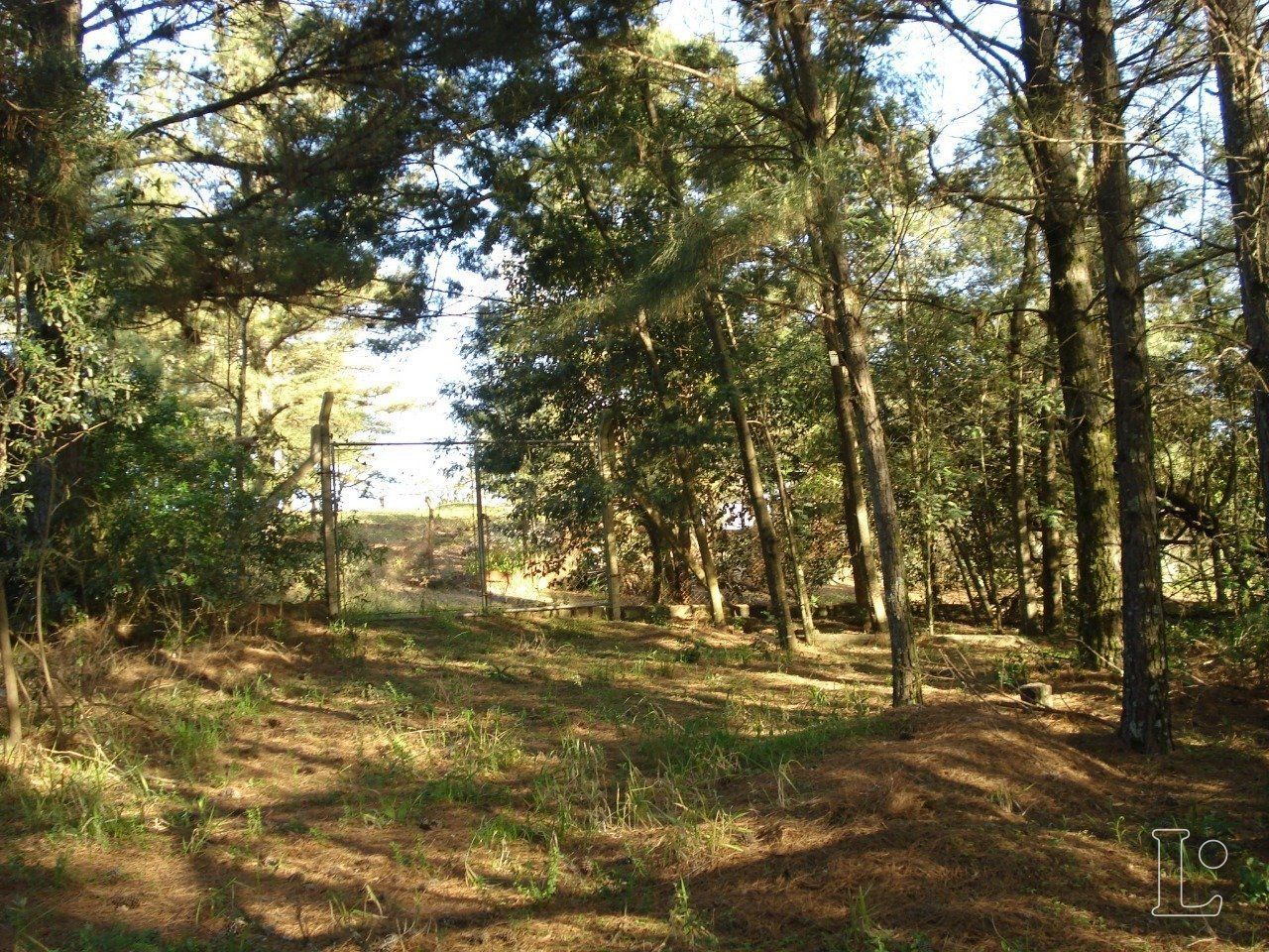 Terreno, 4500 m² - Foto 2