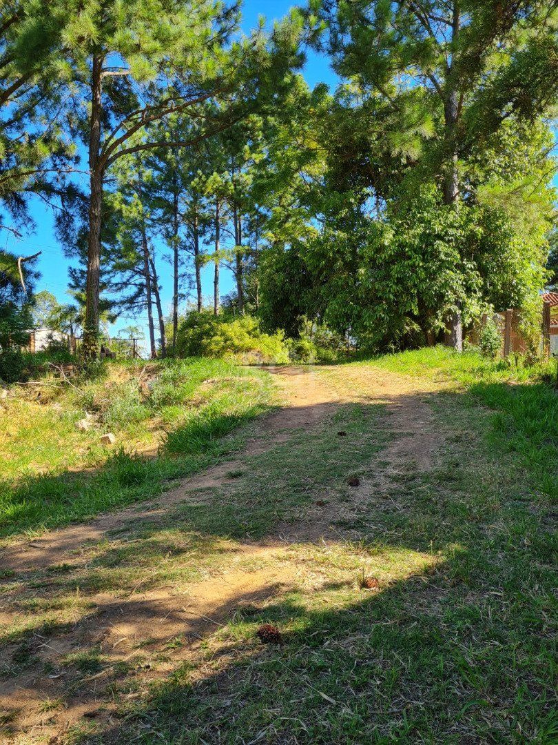 Terreno, 3 hectares - Foto 6