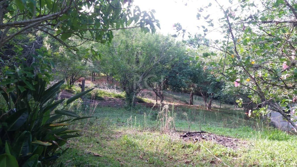 Terreno, 4 hectares - Foto 2