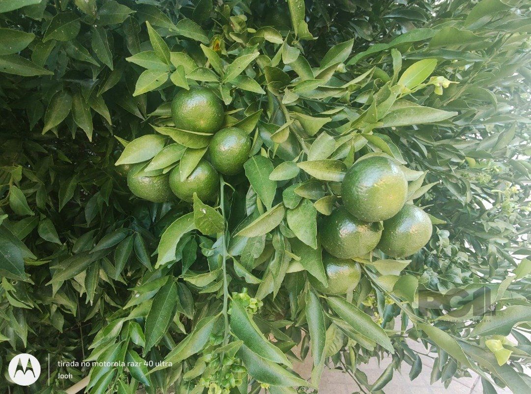 Casa, 2 quartos, 120 m² - Foto 15