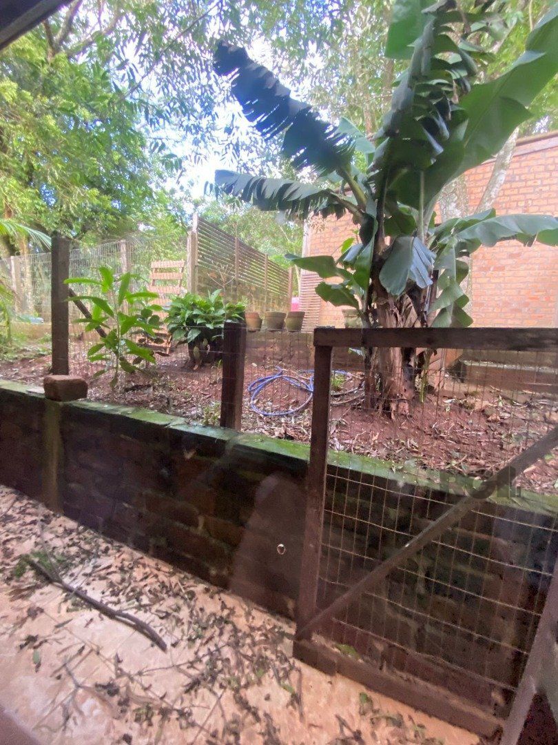 Sítio, 3 quartos, 1689 m² - Foto 20