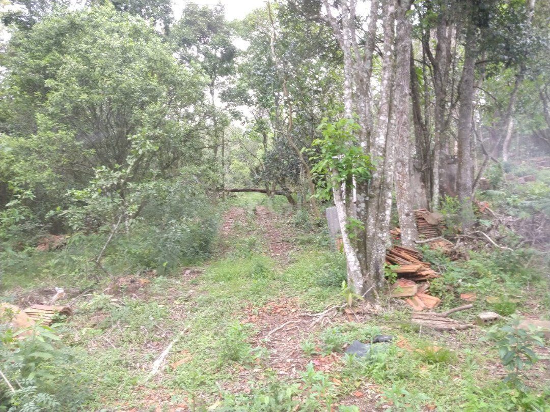Terreno à venda, 113942m² - Foto 13