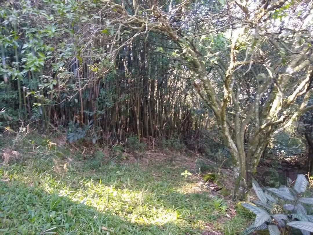 Terreno, 3032 m² - Foto 19