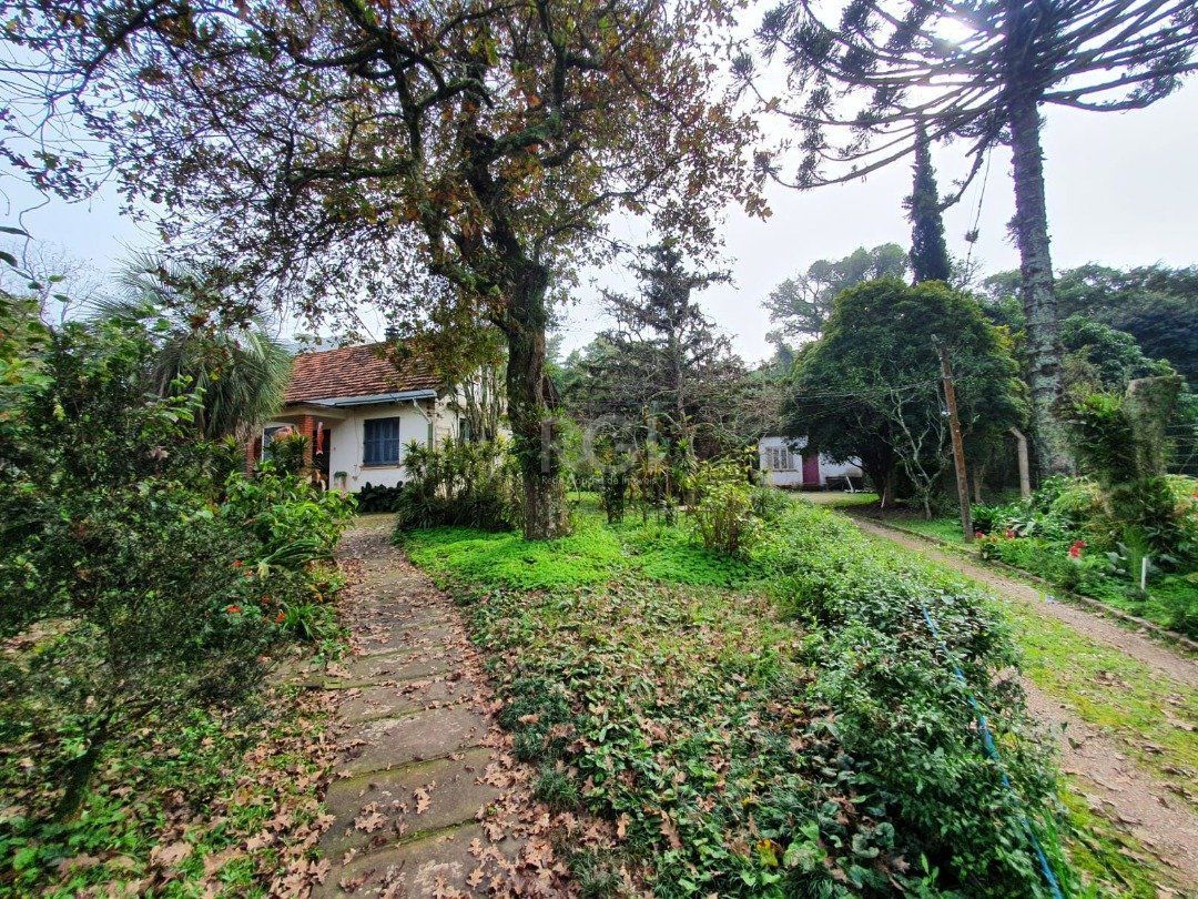 Terreno à venda, 5333m² - Foto 5