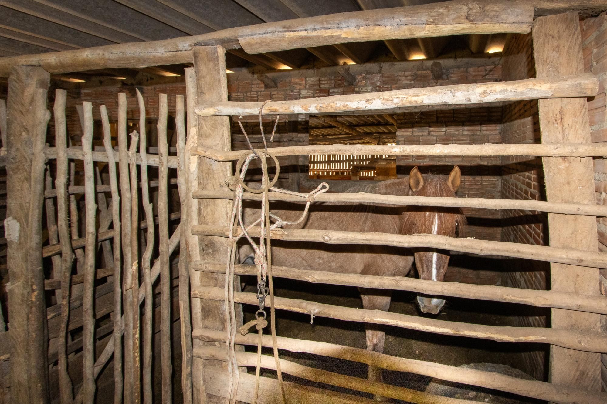 Sítio, 3 quartos, 8 hectares - Foto 54