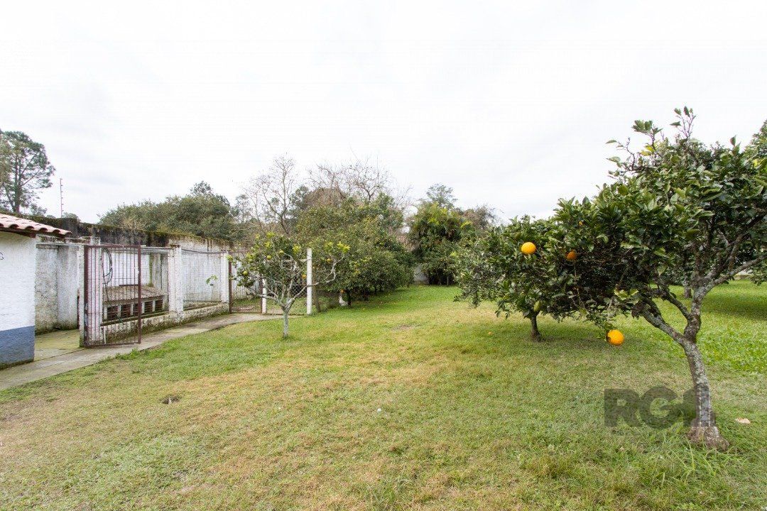 Sítio à venda com 3 quartos, 350m² - Foto 14