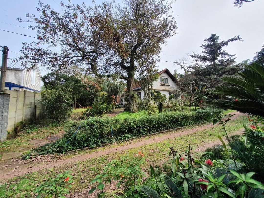 Terreno à venda, 5333m² - Foto 8