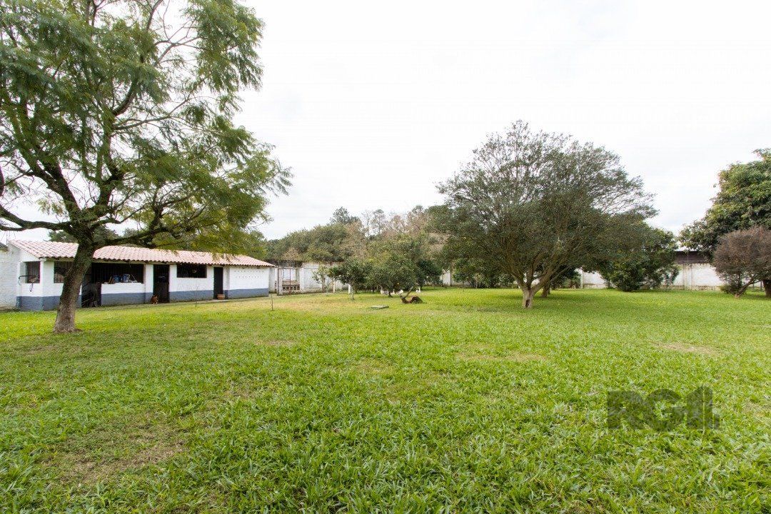 Sítio à venda com 3 quartos, 350m² - Foto 13