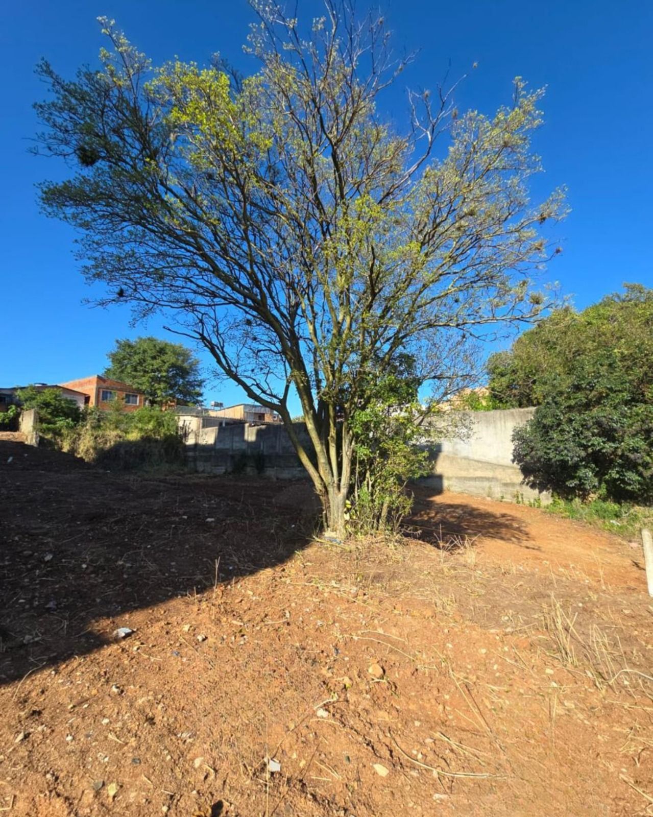 Excelente terreno no bairro Tristeza.