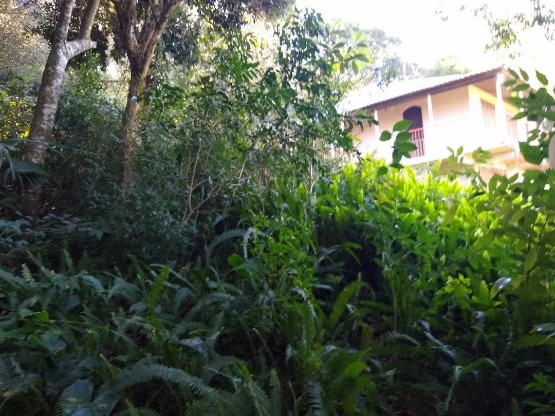 Terreno, 3032 m² - Foto 6