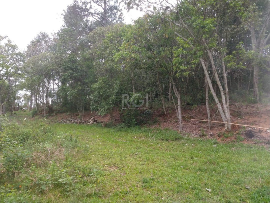 Terreno à venda, 113942m² - Foto 6