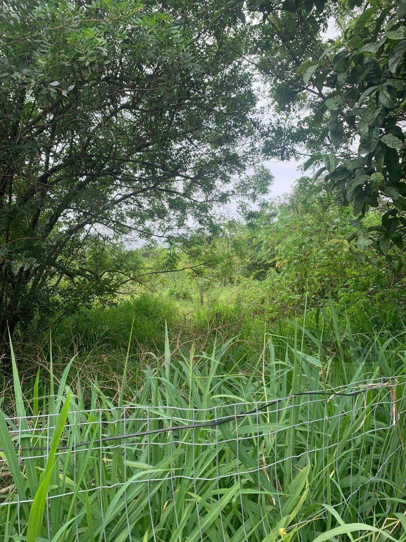 Terreno, 1002 m² - Foto 4