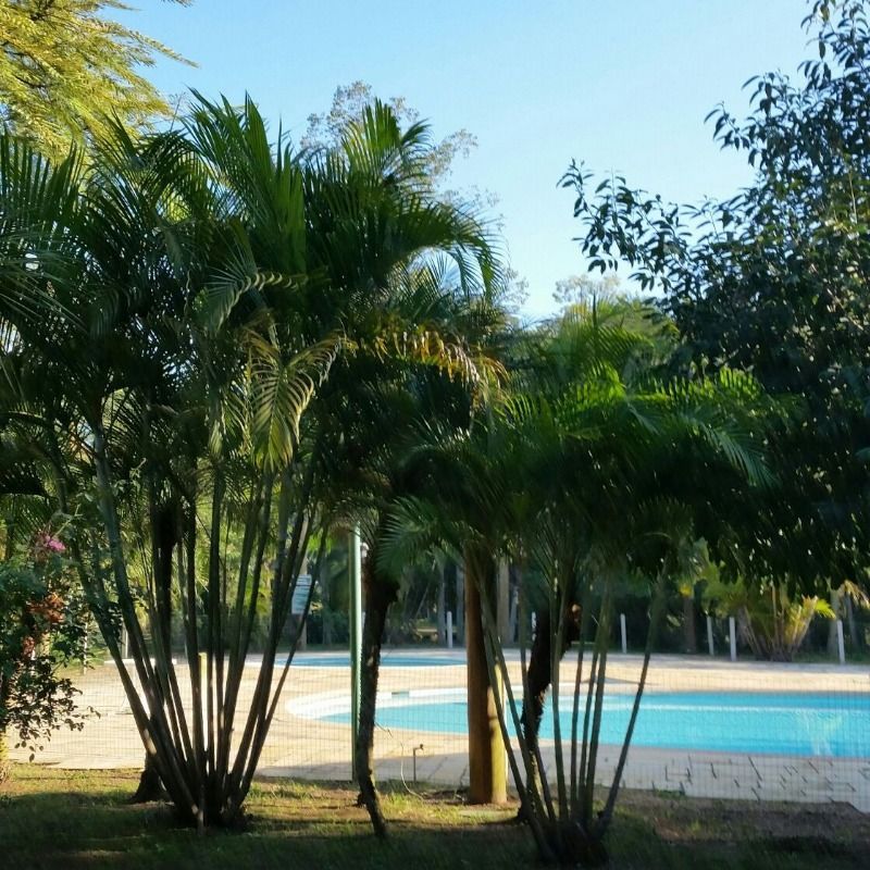 Terreno à venda, 1m² - Foto 18