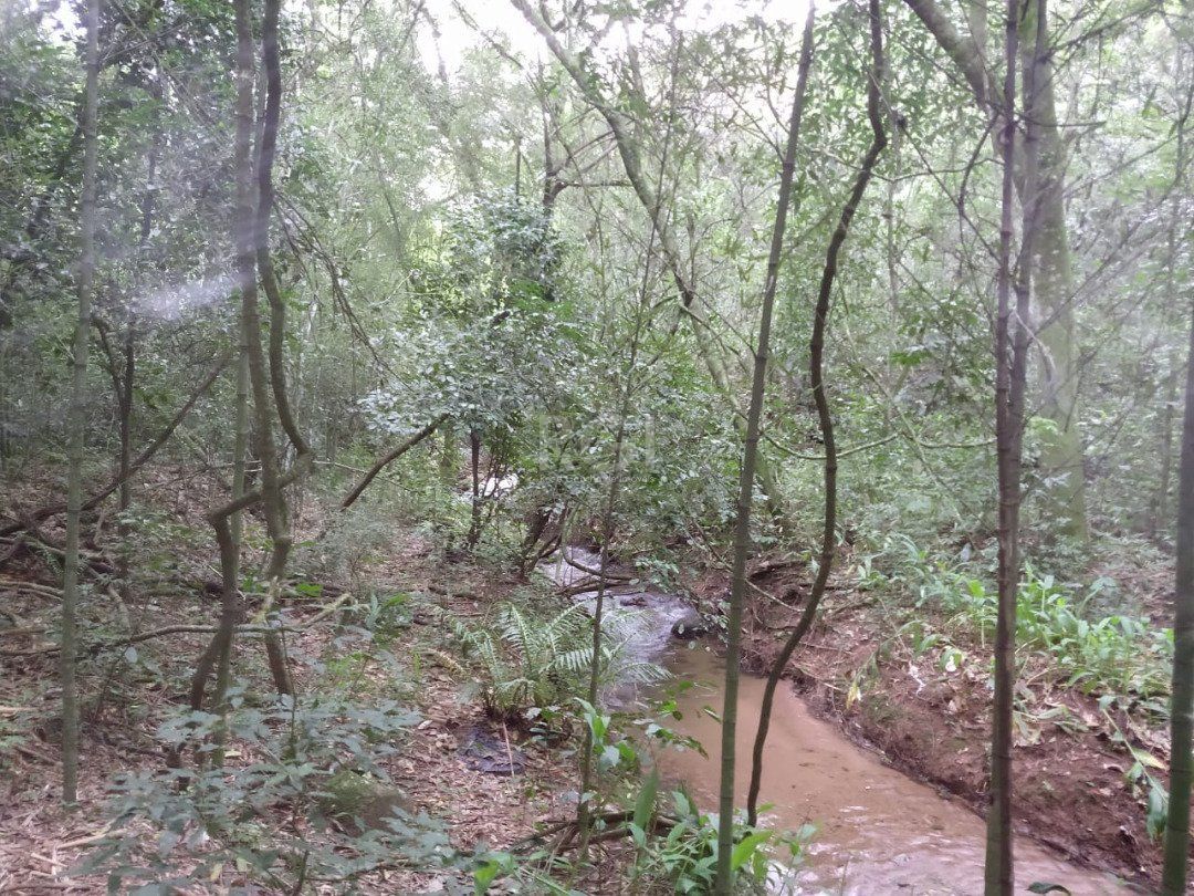 Terreno à venda, 113942m² - Foto 17