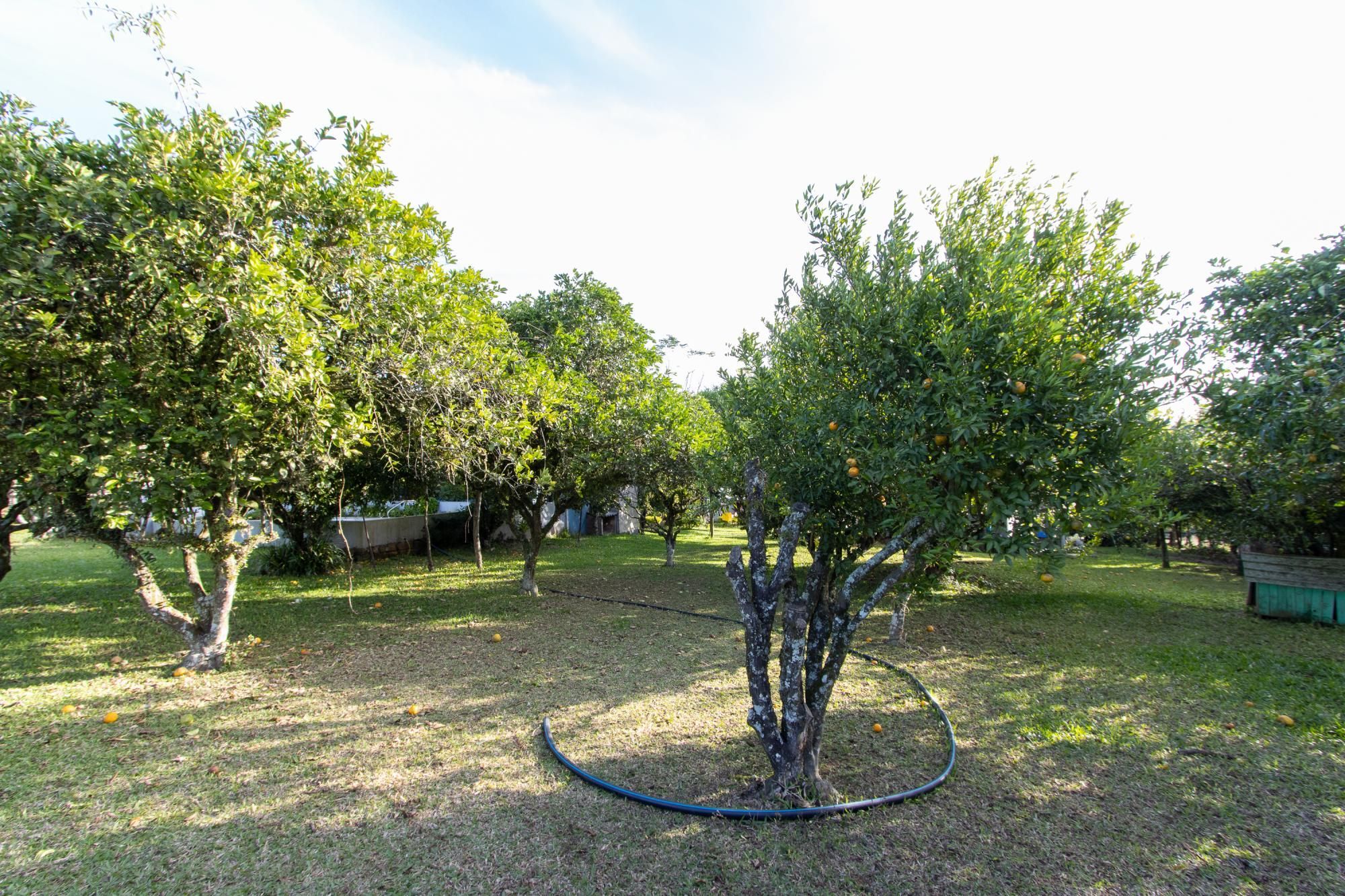 Sítio, 3 quartos, 8 hectares - Foto 48