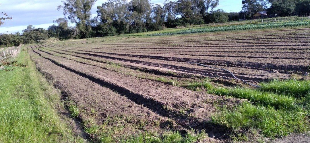 Terreno, 4743 hectares - Foto 1