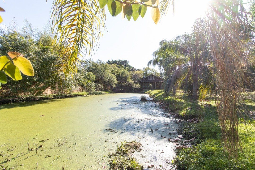 Chácara, 2 quartos, 3060 m² - Foto 7