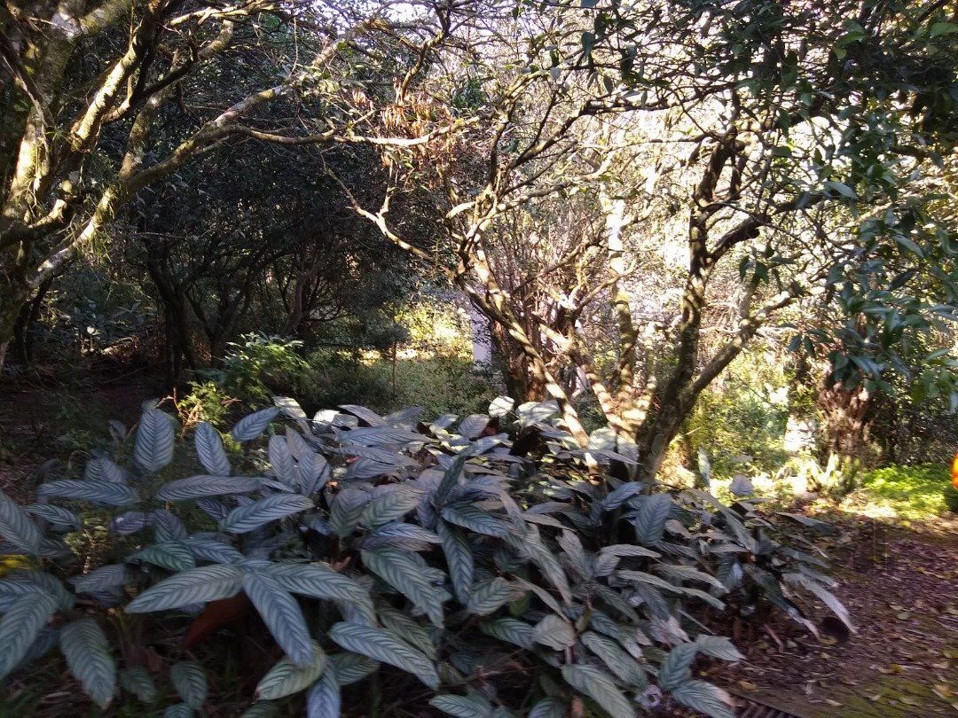 Terreno, 3032 m² - Foto 18