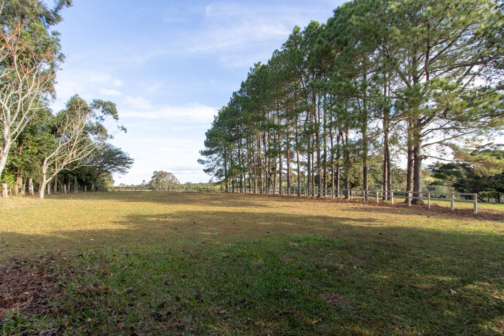 Sítio, 3 quartos, 8 hectares - Foto 66