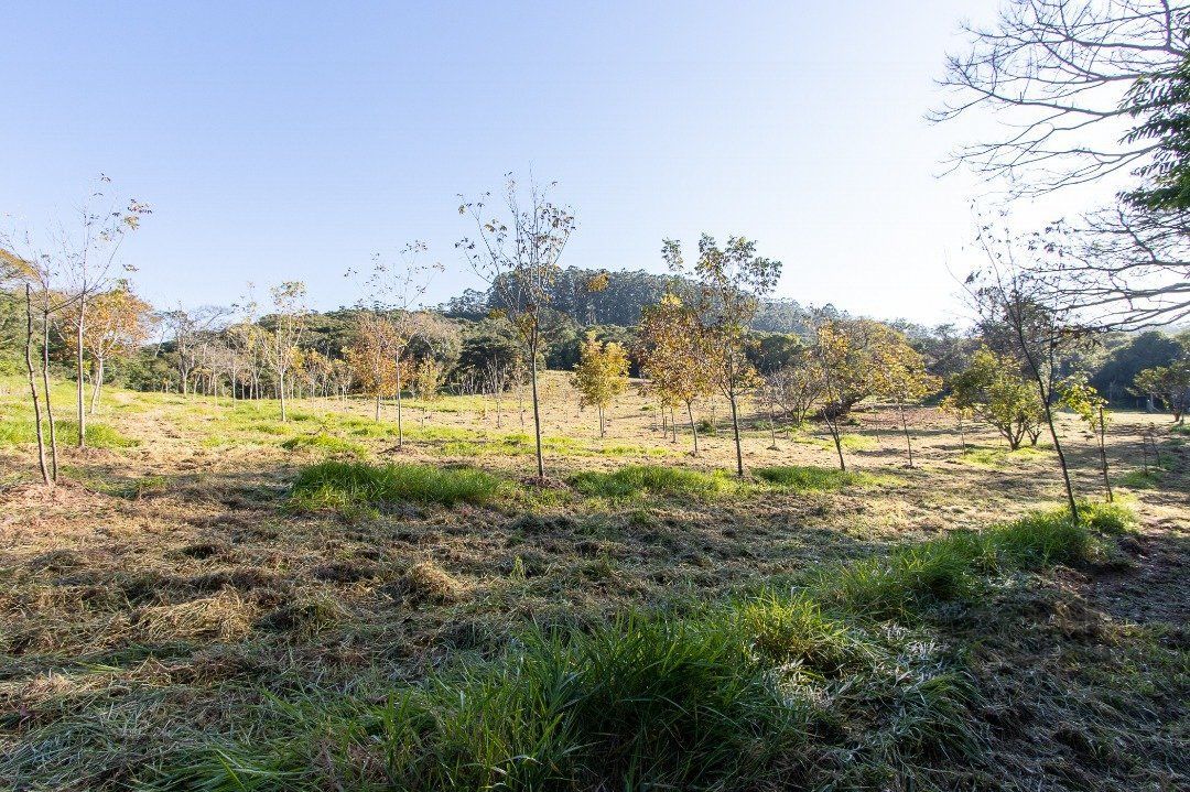 Terreno à venda, 96750m² - Foto 40
