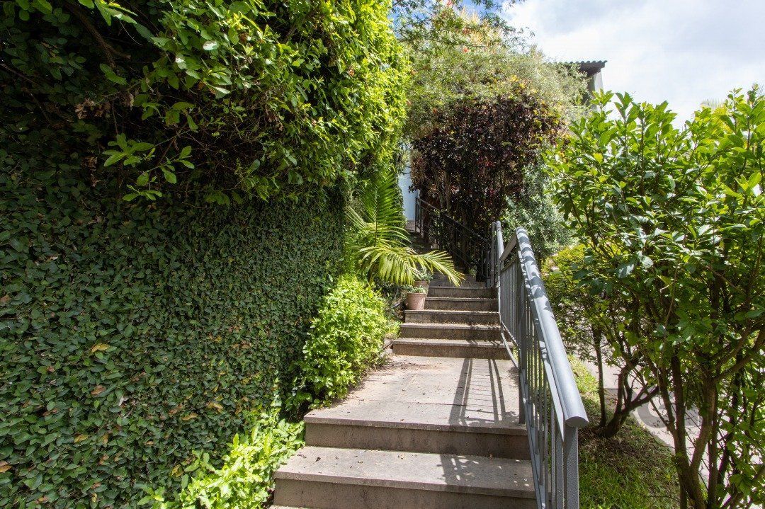 Casa, 3 quartos, 456 m² - Foto 7