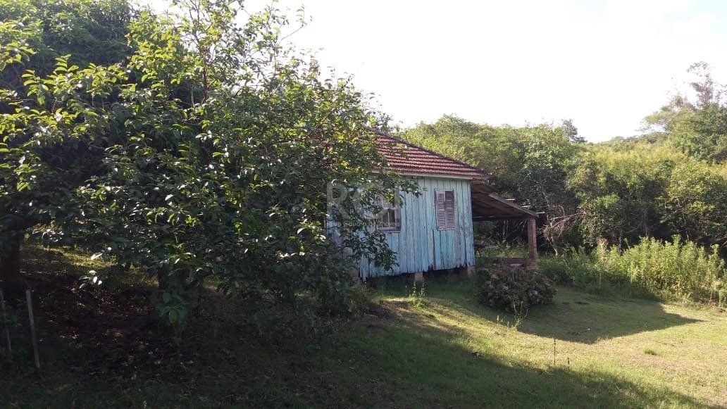 Terreno, 4 hectares - Foto 6