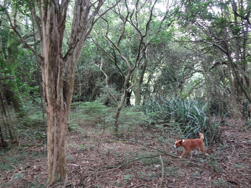 Terreno à venda, 145000m² - Foto 9
