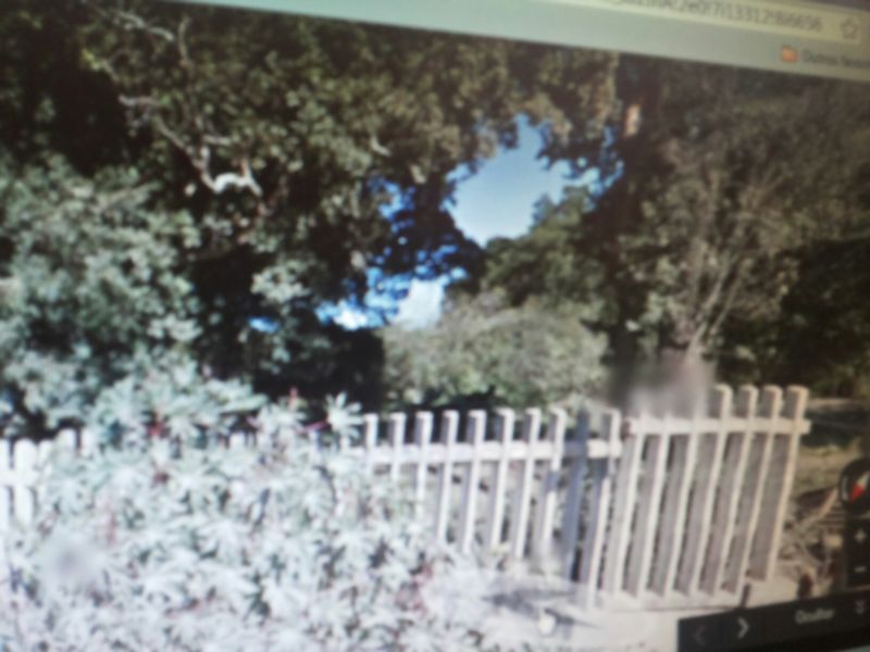 Terreno, 3 hectares - Foto 4