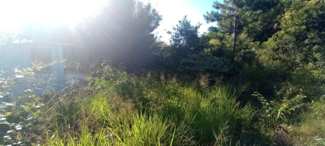 Terreno, 653 m² - Foto 4