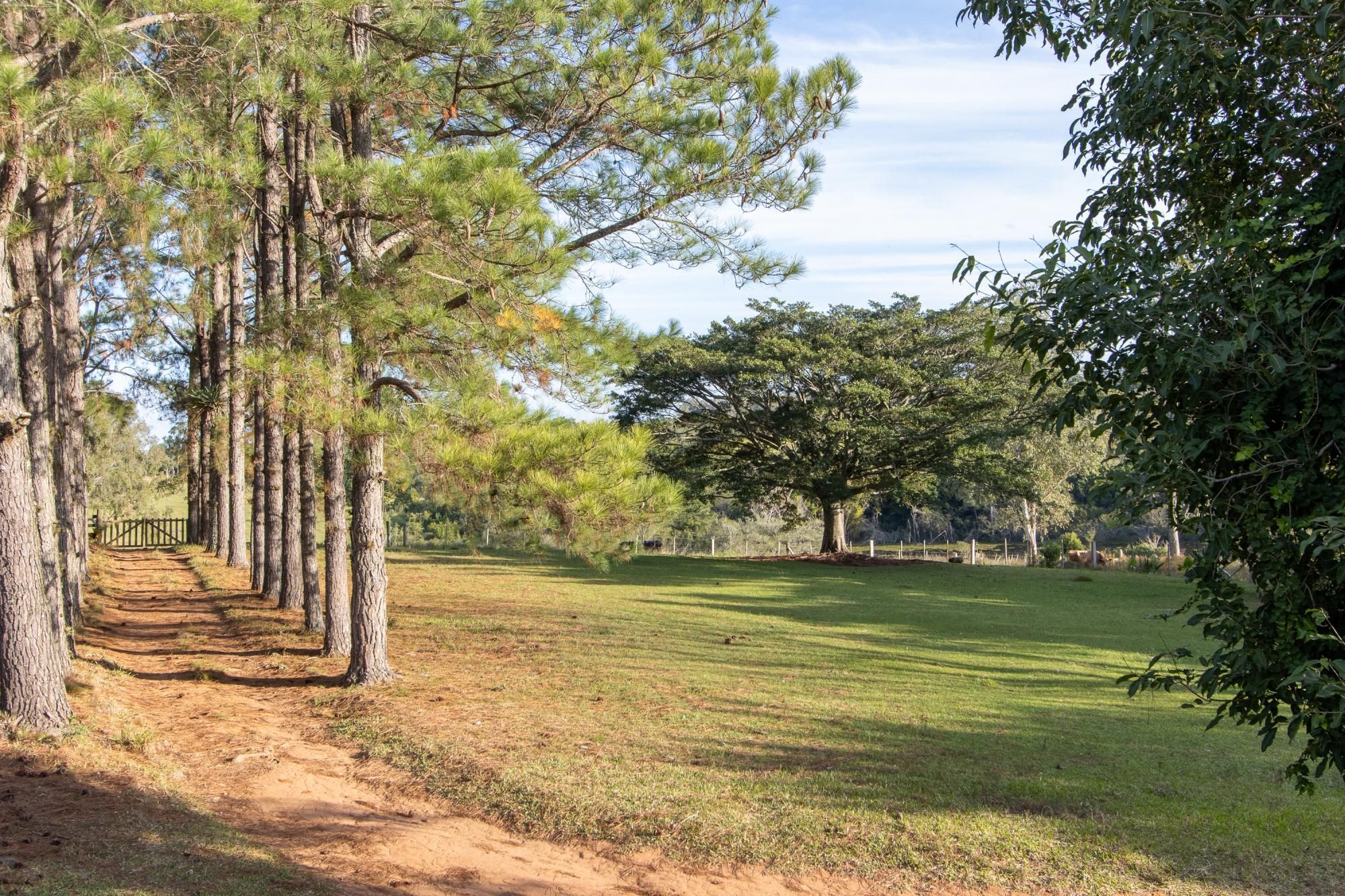 Sítio, 3 quartos, 8 hectares - Foto 27