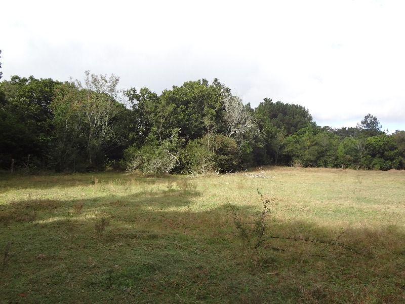 Terreno à venda, 145000m² - Foto 2