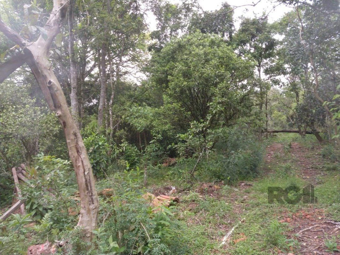 Terreno à venda, 46960m² - Foto 13