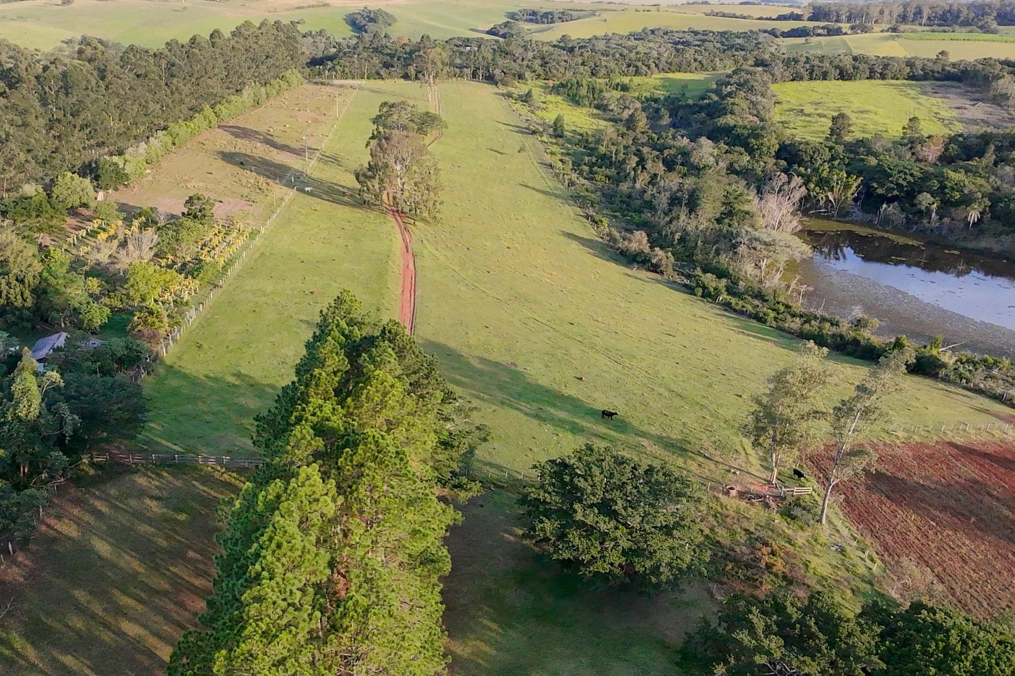 Sítio, 3 quartos, 8 hectares - Foto 62