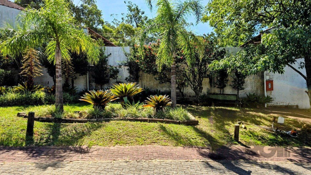 Terreno à venda, 241m² - Foto 7