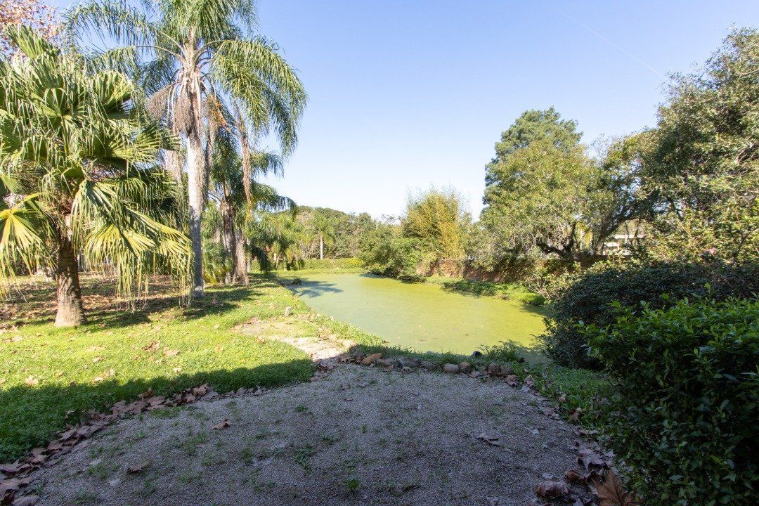 Chácara, 2 quartos, 3060 m² - Foto 17