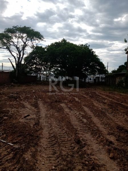 Terreno, 2394 m² - Foto 4